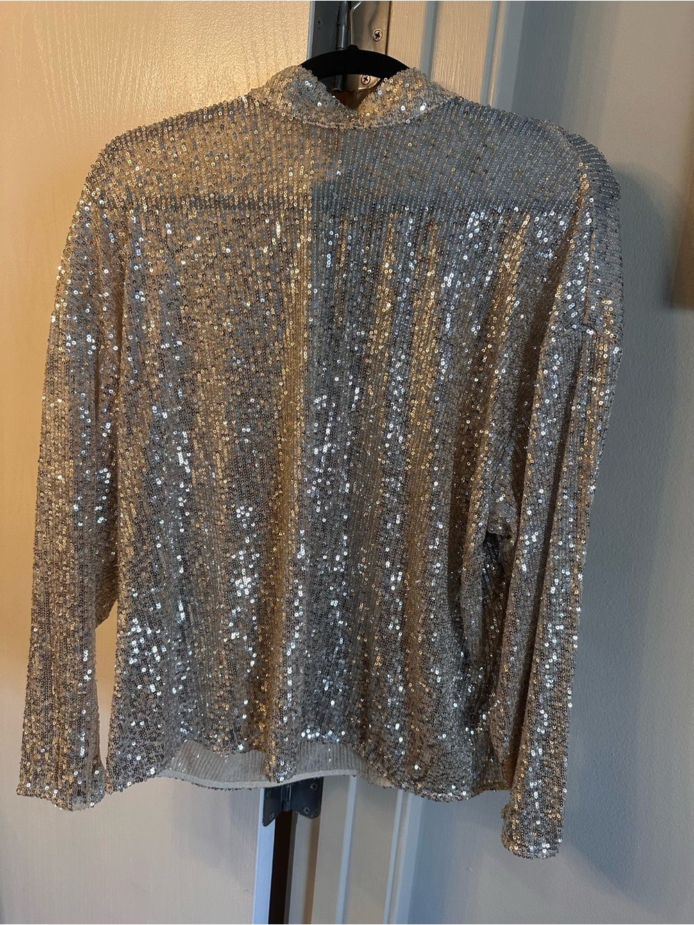 H&M Champagne Sequin Long-Sleeve Top